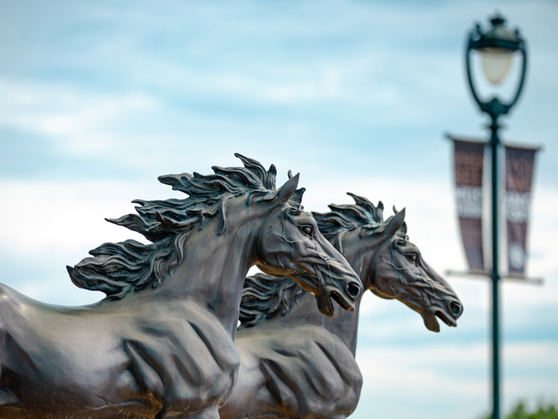 $_EscapeTool.xml($image-description)